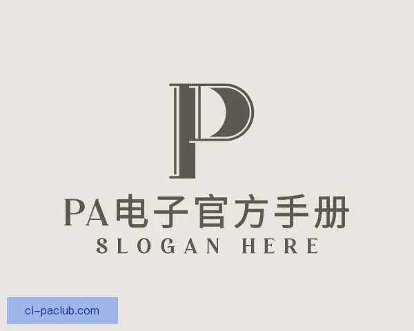 介绍PA电子官方手册